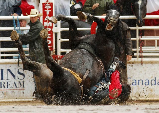 daily picdump 90 pics 39.html - 90 HD Photos | Premium Gallery 2012