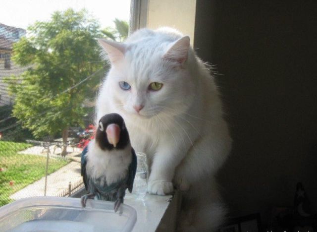 daily picdump 90 pics 39.html - 90 HD Photos | Premium Gallery 2012