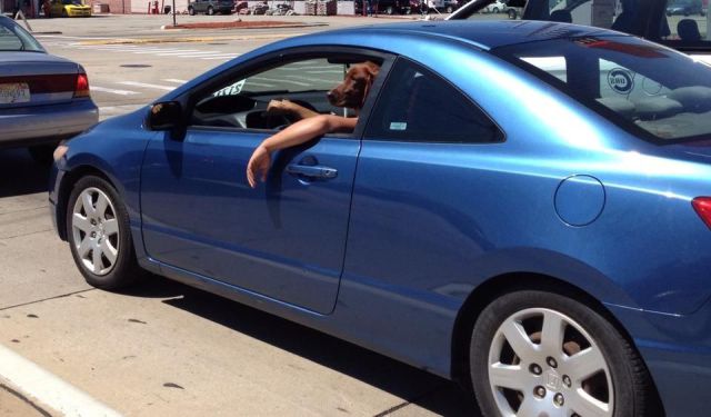 daily picdump 90 pics 39.html - 90 HD Photos | Premium Gallery 2012