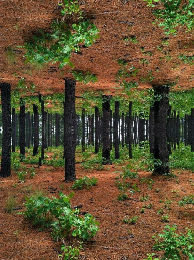 daily picdump 90 pics 39.html - 90 HD Photos | Premium Gallery 2012