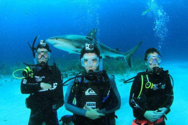 daily picdump 90 pics 39.html - 90 HD Photos | Premium Gallery 2012