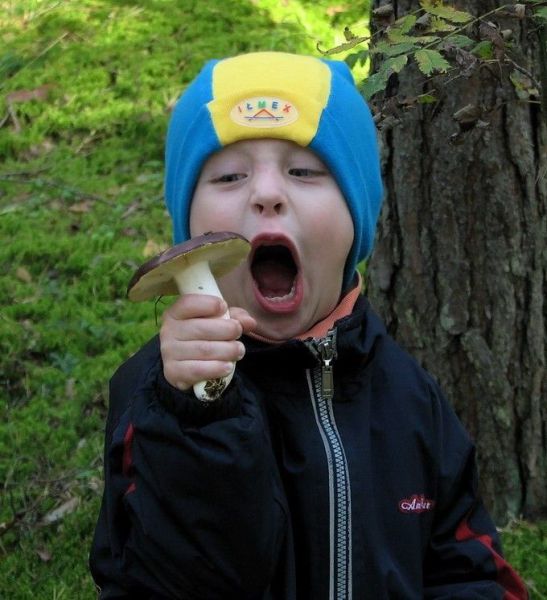 morning picdump 60 pics 5.html - 60 HD Photos | Premium Gallery 2012