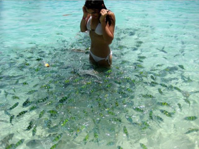 morning picdump 60 pics 5.html - 60 HD Photos | Premium Gallery 2012