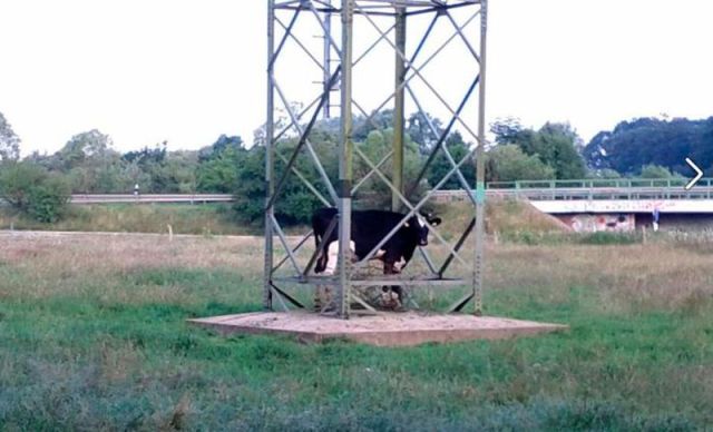 morning picdump 55 pics 15.html - 55 HD Photos | Premium Gallery 2012