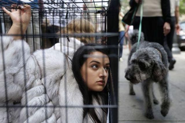 morning picdump 55 pics 15.html - 55 HD Photos | Premium Gallery 2012