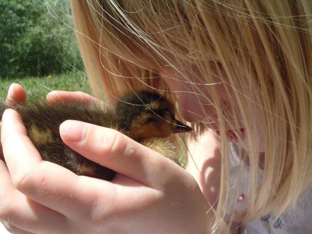 morning picdump 55 pics 15.html - 55 HD Photos | Premium Gallery 2012