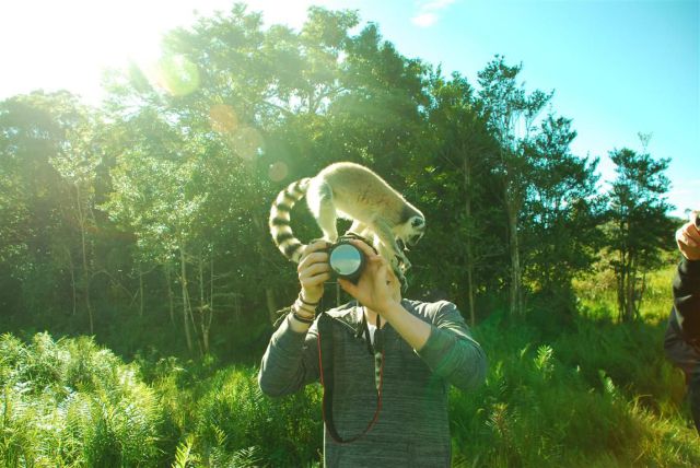 Daily Picdump [WEEKEND EDITION]