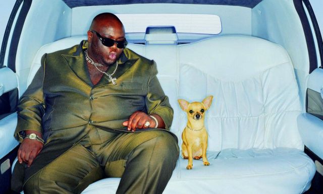 Daily Picdump [WEEKEND EDITION]