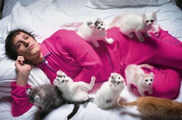 Daily Picdump [WEEKEND EDITION]