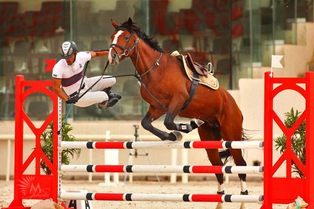 Daily Picdump [WEEKEND EDITION]