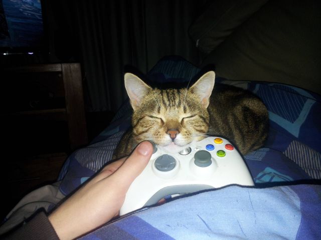 Daily Picdump [WEEKEND EDITION]