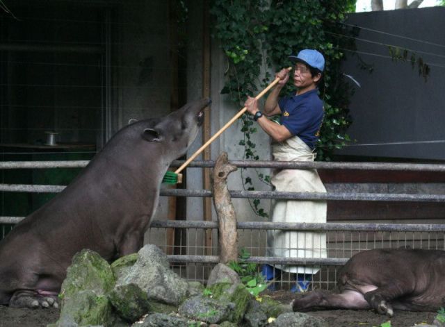 Daily Picdump [WEEKEND EDITION]