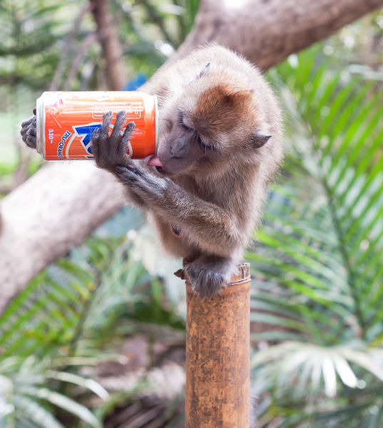 Daily Picdump [WEEKEND EDITION]