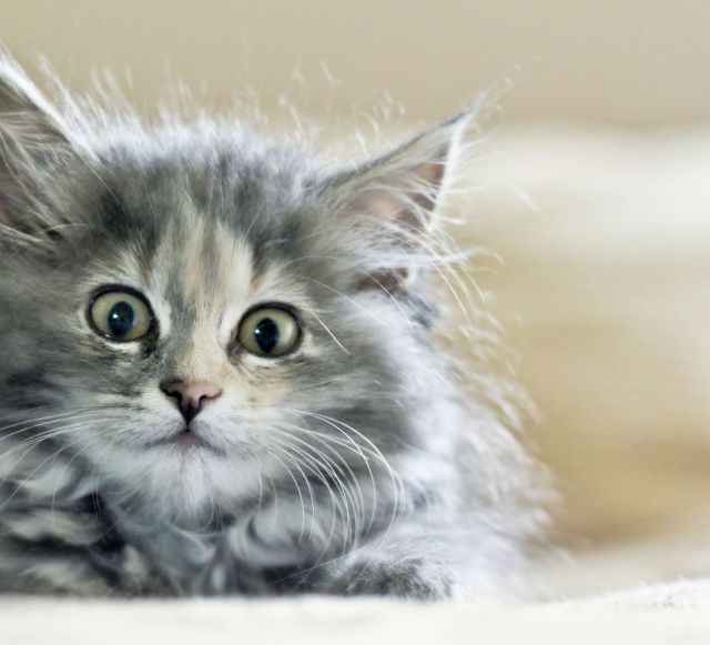 Daily Picdump [WEEKEND EDITION]