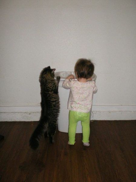 morning picdump 63 pics 5.html - 63 HD Photos | Premium Gallery 2012