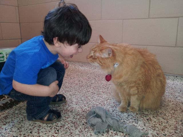 morning picdump 63 pics 5.html - 63 HD Photos | Premium Gallery 2012