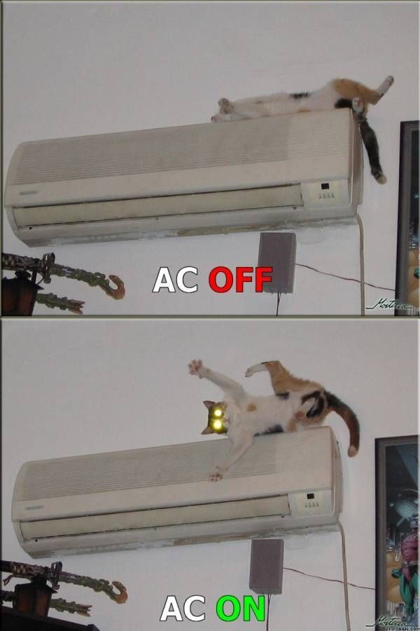 morning picdump 63 pics 5.html - 63 HD Photos | Premium Gallery 2012