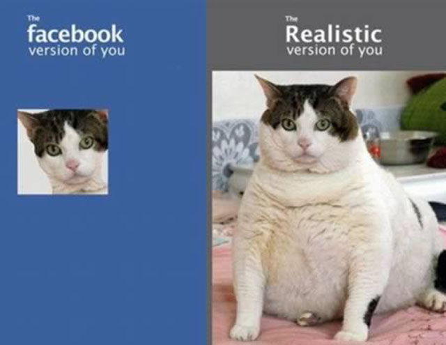 Unforgettable Cropped Photos