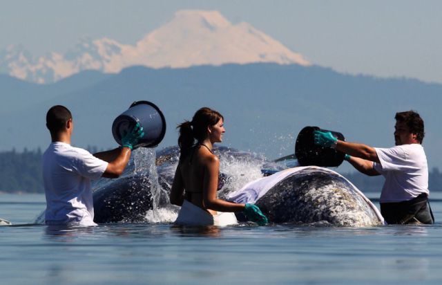 morning picdump 56 pics 2.html - 56 HD Photos | Premium Gallery 2012