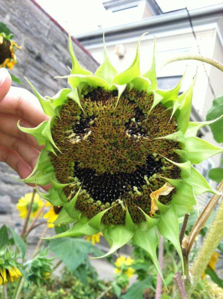 morning picdump 51 pics 4.html - 51 HD Photos | Premium Gallery 2012