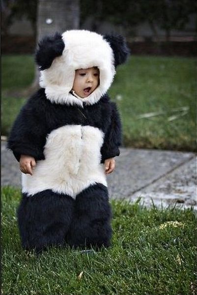 morning picdump 56 pics 13.html - 56 HD Photos | Premium Gallery 2012