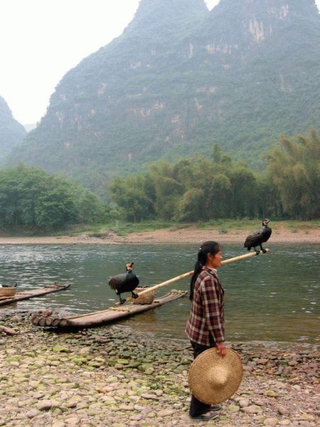 daily picdump 98 pics 50.html - 98 HD Photos | Premium Gallery 2012