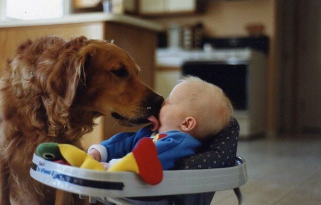 morning picdump 58 pics 3.html - 58 HD Photos | Premium Gallery 2012