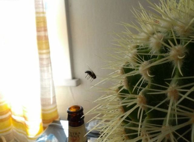 morning picdump 58 pics 3.html - 58 HD Photos | Premium Gallery 2012