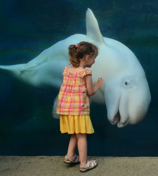 morning picdump 58 pics 3.html - 58 HD Photos | Premium Gallery 2012