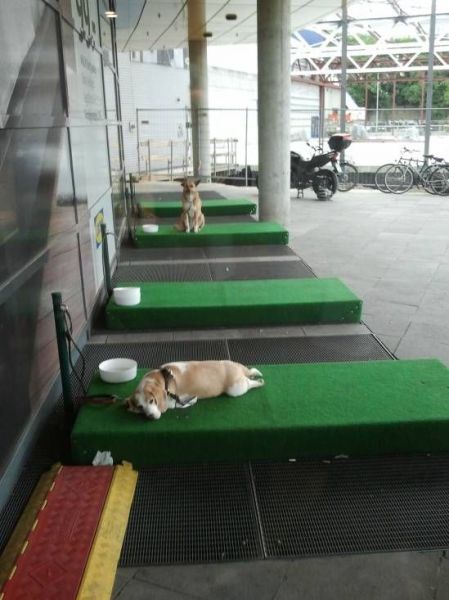 morning picdump 56 pics 3.html - 56 HD Photos | Premium Gallery 2012