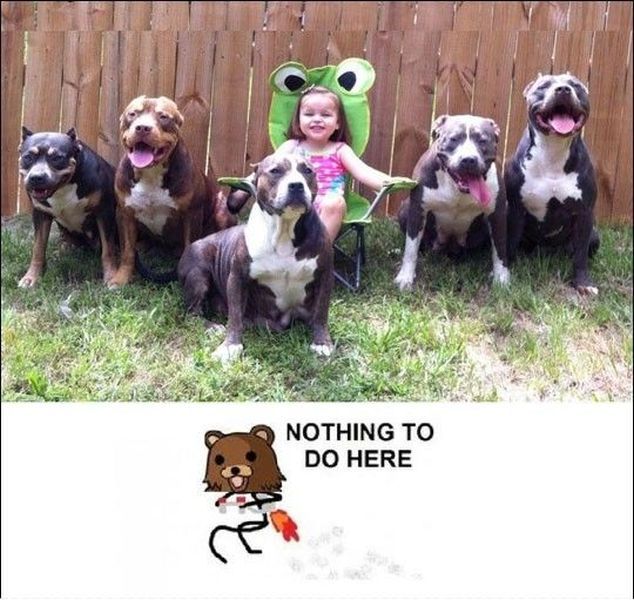 morning picdump 59 pics 21.html - 59 HD Photos | Premium Gallery 2012