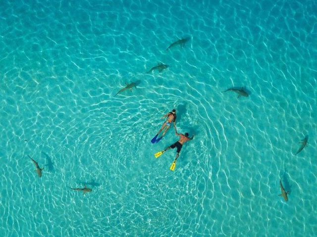 morning picdump 59 pics 21.html - 59 HD Photos | Premium Gallery 2012