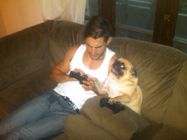 That Is One Hell of a Pug