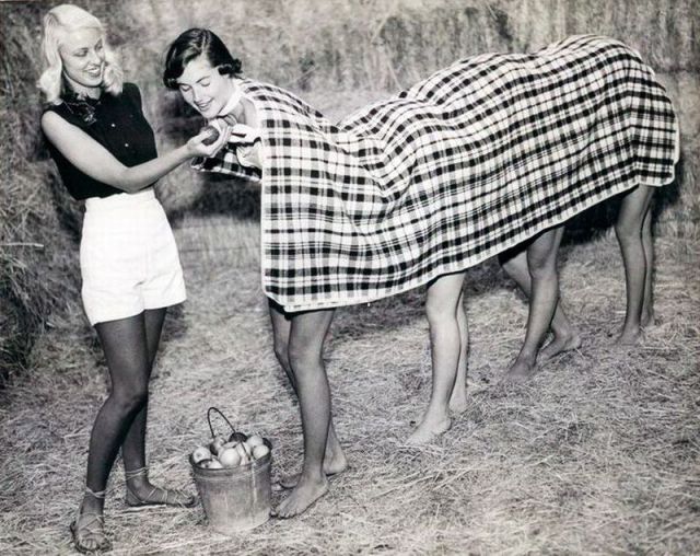 Daily Picdump [WEEKEND EDITION]