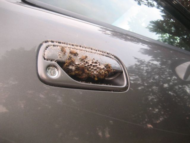 daily picdump weekend edition 106 pics 38.html - 106 HD Photos | Premium Gallery 2012