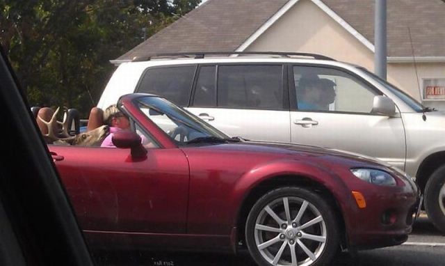 daily picdump weekend edition 106 pics 38.html - 106 HD Photos | Premium Gallery 2012