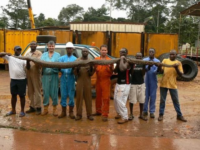 daily picdump weekend edition 106 pics 38.html - 106 HD Photos | Premium Gallery 2012