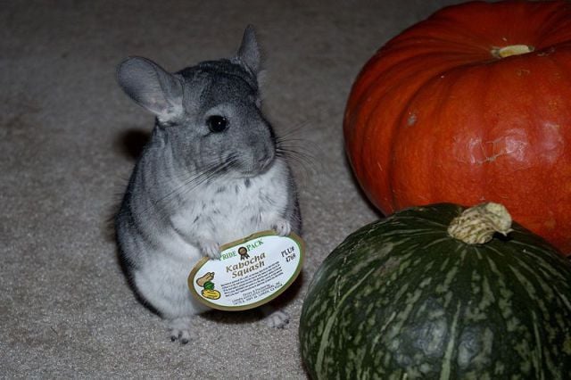 daily picdump weekend edition 106 pics 38.html - 106 HD Photos | Premium Gallery 2012