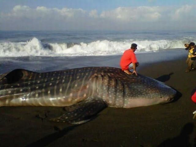 daily picdump weekend edition 106 pics 38.html - 106 HD Photos | Premium Gallery 2012