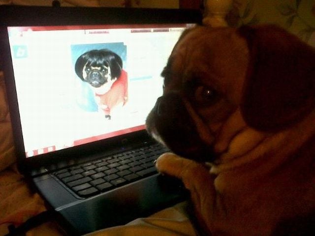 daily picdump weekend edition 106 pics 38.html - 106 HD Photos | Premium Gallery 2012