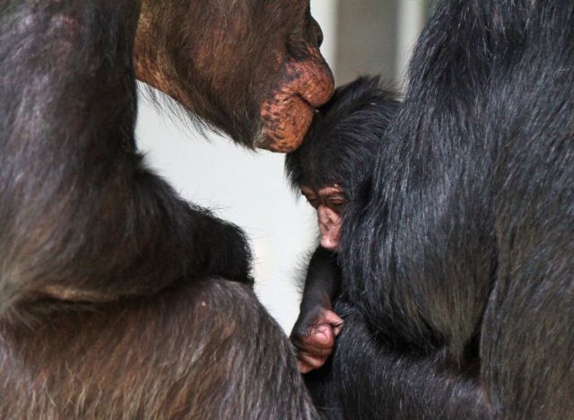 daily picdump weekend edition 106 pics 38.html - 106 HD Photos | Premium Gallery 2012