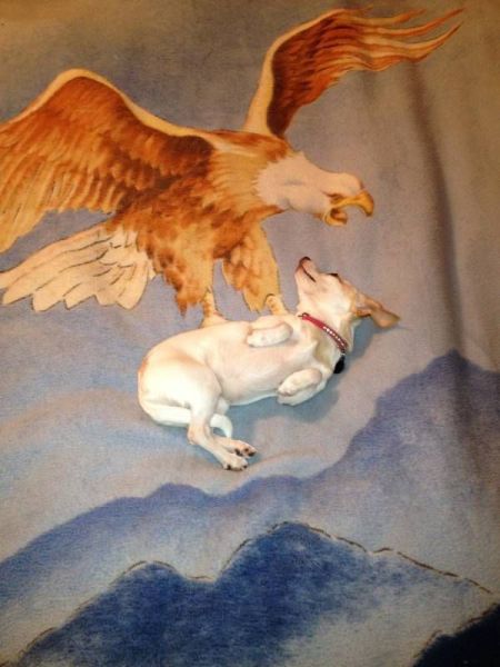 morning picdump 62 pics 4.html - 62 HD Photos | Premium Gallery 2012