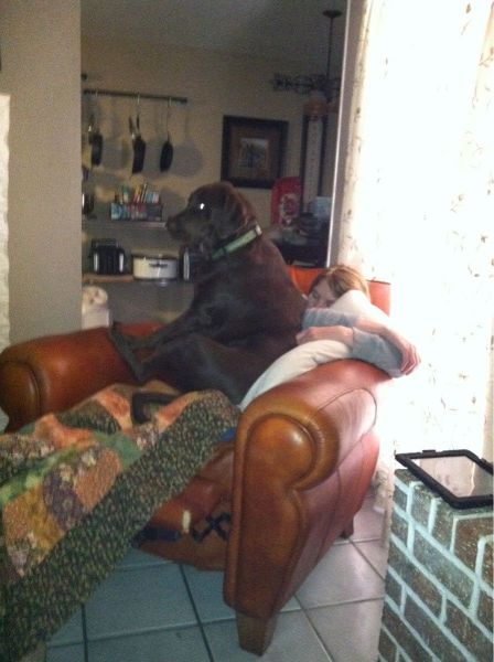 morning picdump 62 pics 4.html - 62 HD Photos | Premium Gallery 2012