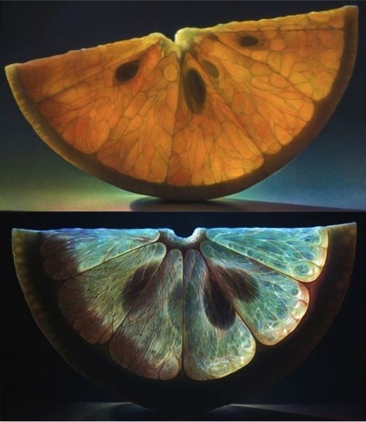 morning picdump 62 pics 4.html - 62 HD Photos | Premium Gallery 2012