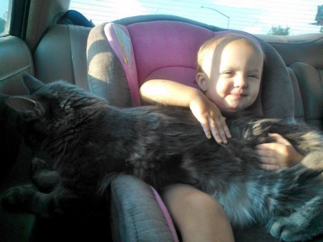 morning picdump 62 pics 4.html - 62 HD Photos | Premium Gallery 2012