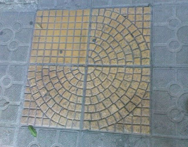 morning picdump 62 pics 4.html - 62 HD Photos | Premium Gallery 2012