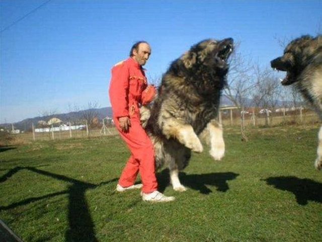 Daily Picdump