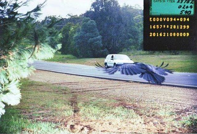 daily picdump 95 pics 1.html - 95 HD Photos | Premium Gallery 2012