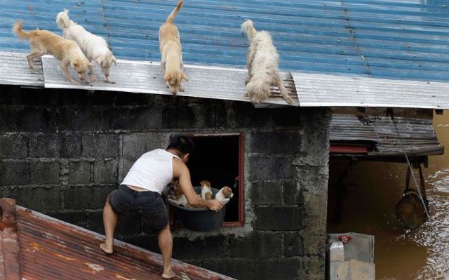 daily picdump 95 pics 1.html - 95 HD Photos | Premium Gallery 2012