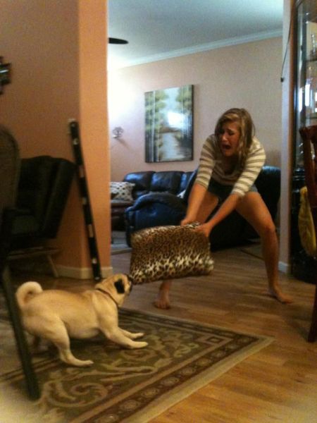 daily picdump 95 pics 1.html - 95 HD Photos | Premium Gallery 2012